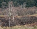 benou-g92_1704