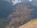 benou-g92_1707