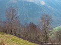 benou-g92_1709