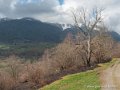 benou-g92_1710