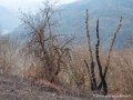 benou-g92_1711