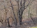 benou-g92_1713