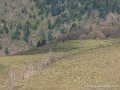 benou-g92_1716