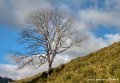 benou-g92_2714-Modifier