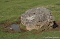 benou-g92_2727
