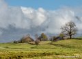 benou-g92_2735-Modifier