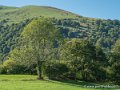 castet-g92_2428