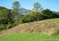 castet-g92_2434