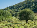 castet-g92_2439