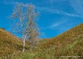 iraty-g92_2506