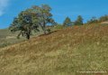 iraty-g92_2517
