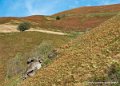 iraty-g92_2518