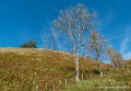 iraty-g92_2522