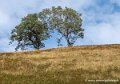iraty-g92_2523