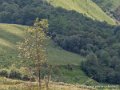 la-madeleine-g92_2369
