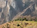 laberouate-g92_1611