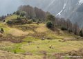 laberouate-g92_1626