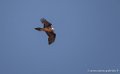laberouate-leica-g93_7341