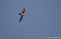 laberouate-leica-g93_7349