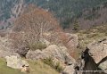 lepourtalet-g92_1569