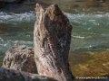 lepourtalet-g92_1572