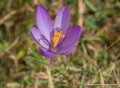 lepourtalet-g92_2401