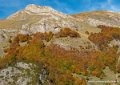lepourtalet-g92_2587