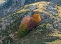 lepourtalet-g92_2619