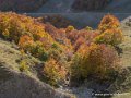 lepourtalet-g92_2626