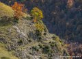lepourtalet-g92_2627