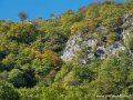 lescun-g92_2539