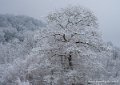 neige-g92-12-100_1495