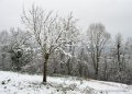 neige-g92-12-100_1514