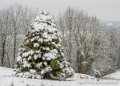 neige-g92-12-100_1515