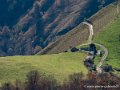 pays-basque-g91_1574