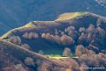 pays-basque-g91_1575