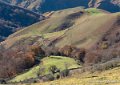 pays-basque-g91_1576