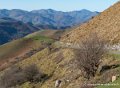 pays-basque-g91_1577