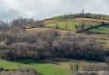 pays-basque-g91_9644