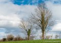 pays-basque-g91_9645