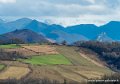 pays-basque-g91_9648