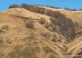 pays-basque-g91_9664