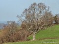 pays-basque-g91_9676