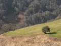 pays-basque-g92_1592