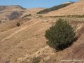 pays-basque-g92_1593