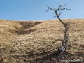 pays-basque-g92_1602