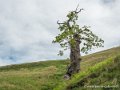 pays-basque-g92_2106