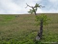 pays-basque-g92_2111