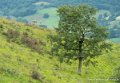 pays-basque-g92_2185