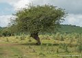pays-basque-g92_2188